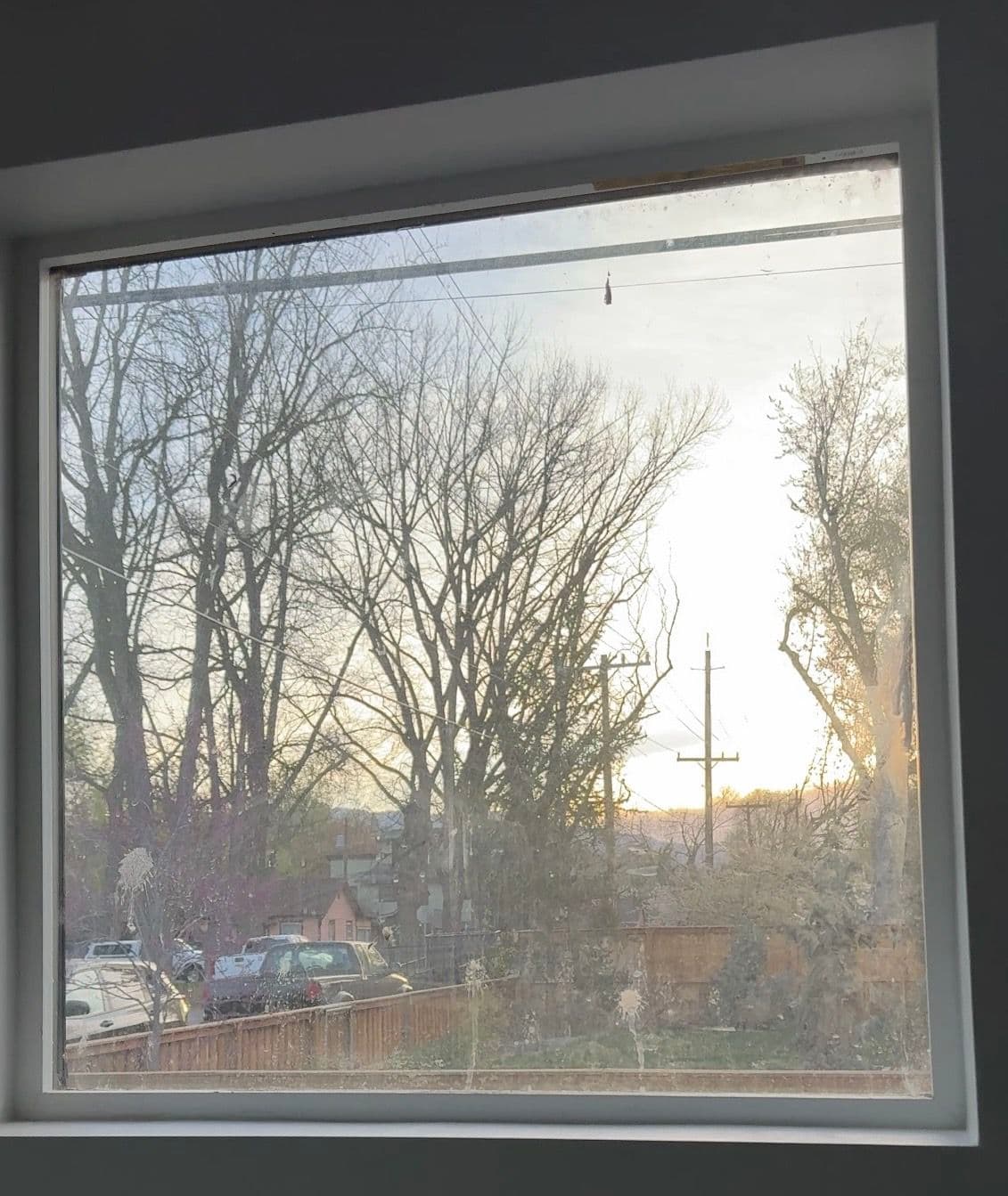 Brighten Up Your Spring Days with Stunningly Clean Windows
