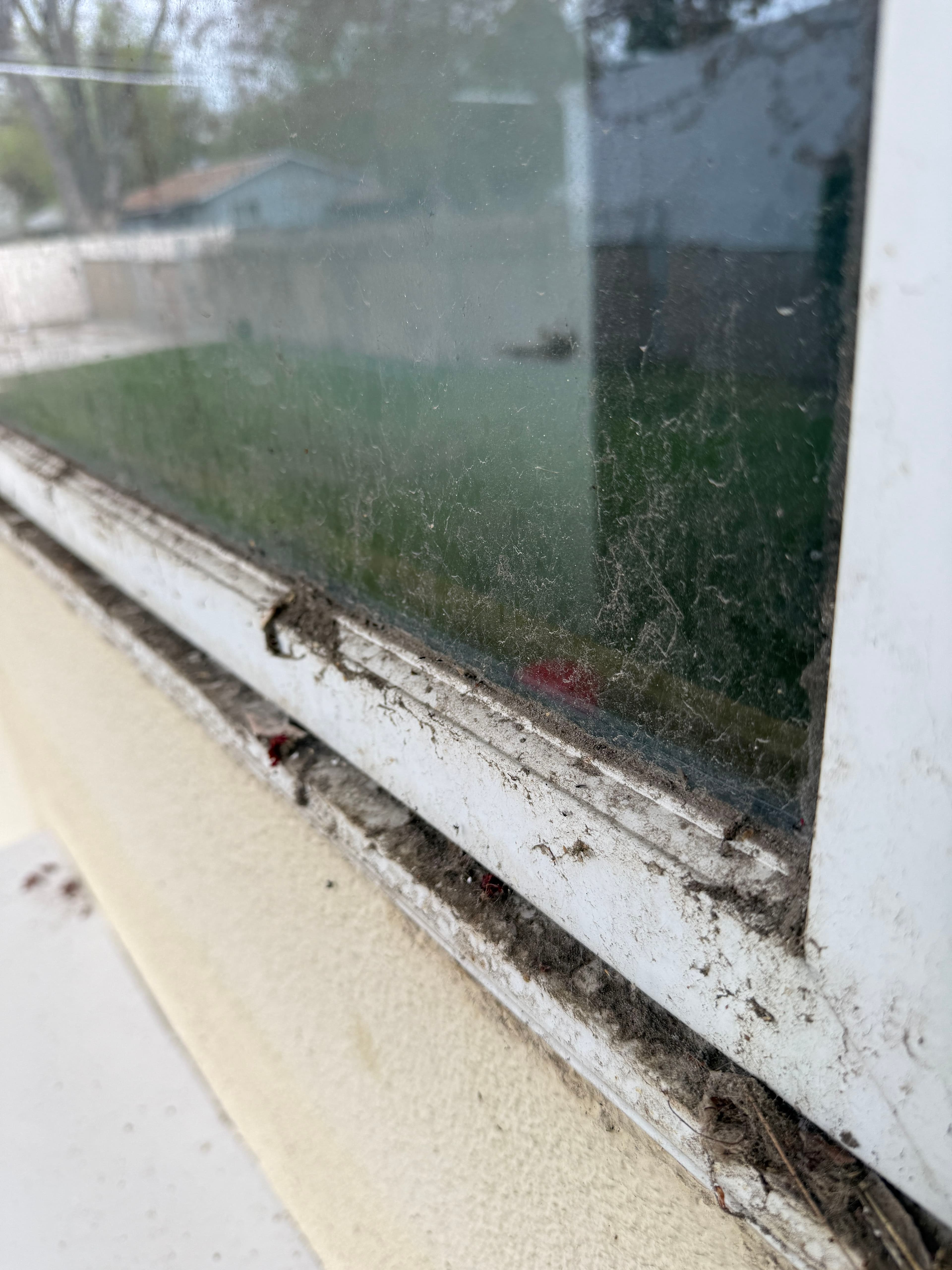 Project No Window Is Too Dirty for Our Team image