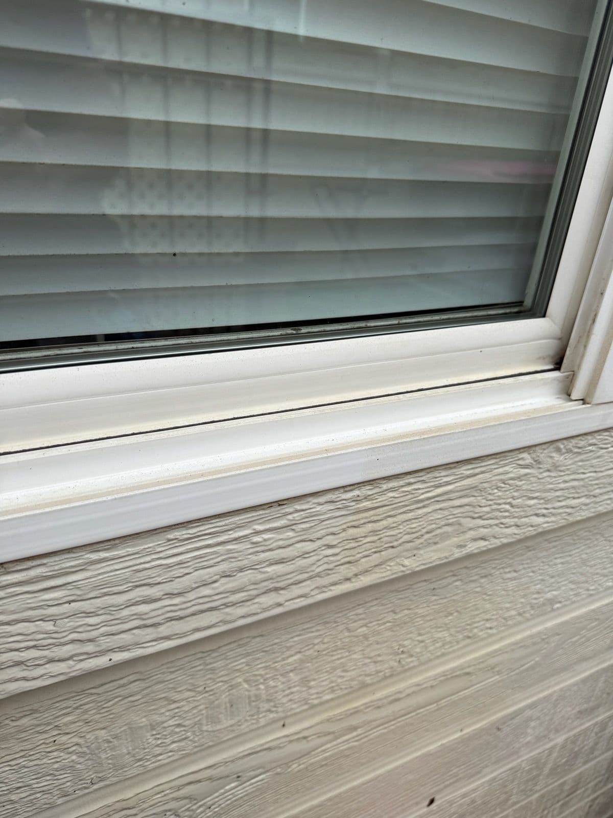 Project Get Your Windows Holiday-Ready with Stellar Window Wash image