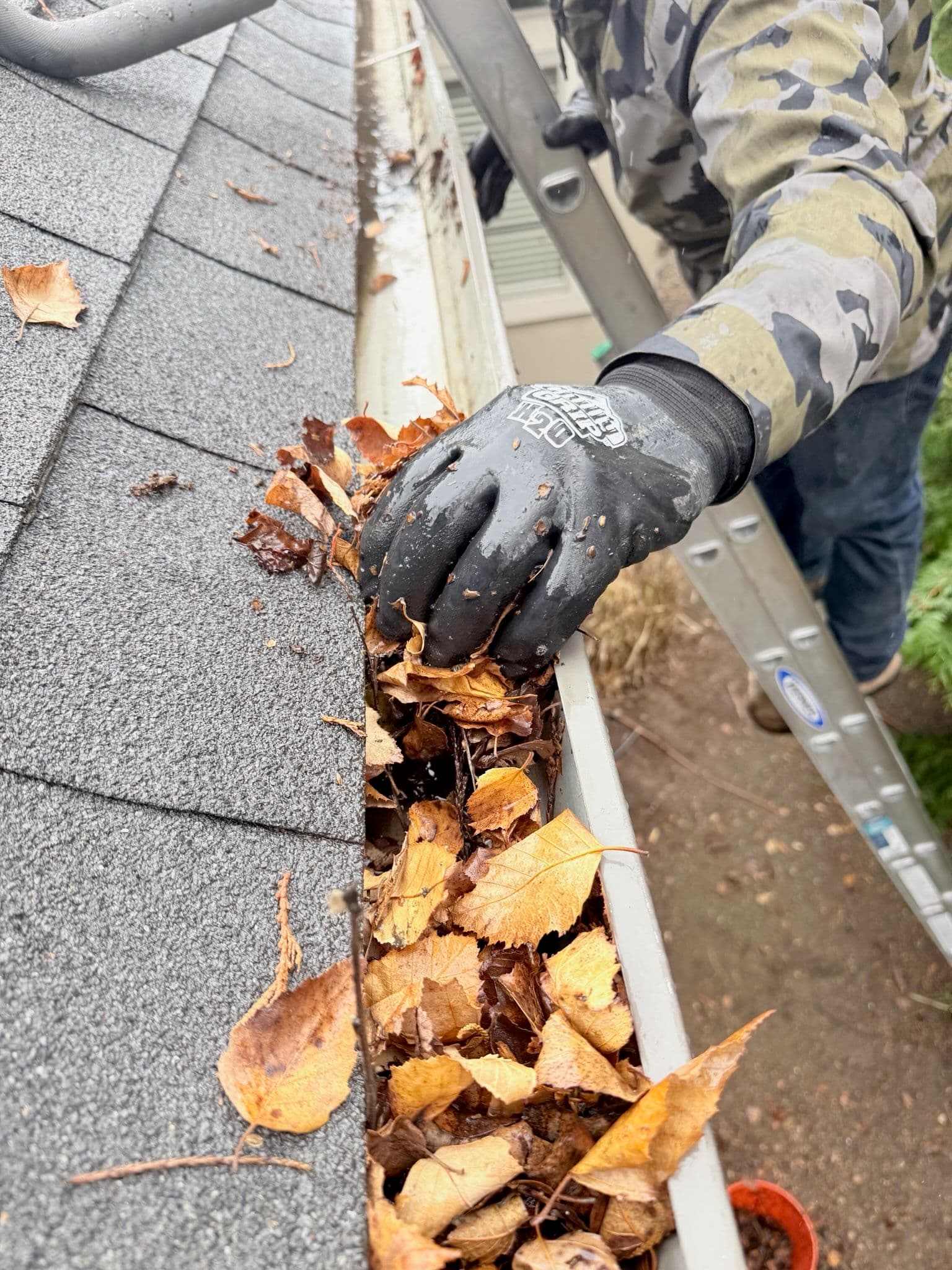 Reliable Gutter Cleaning Services Right When You Need Them image