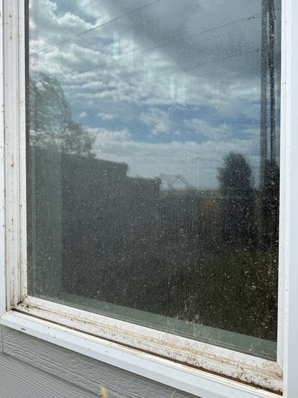 Project Sparkling Window Cleaning Transformation image