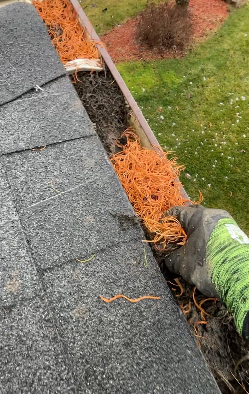 Gutter Cleaning image