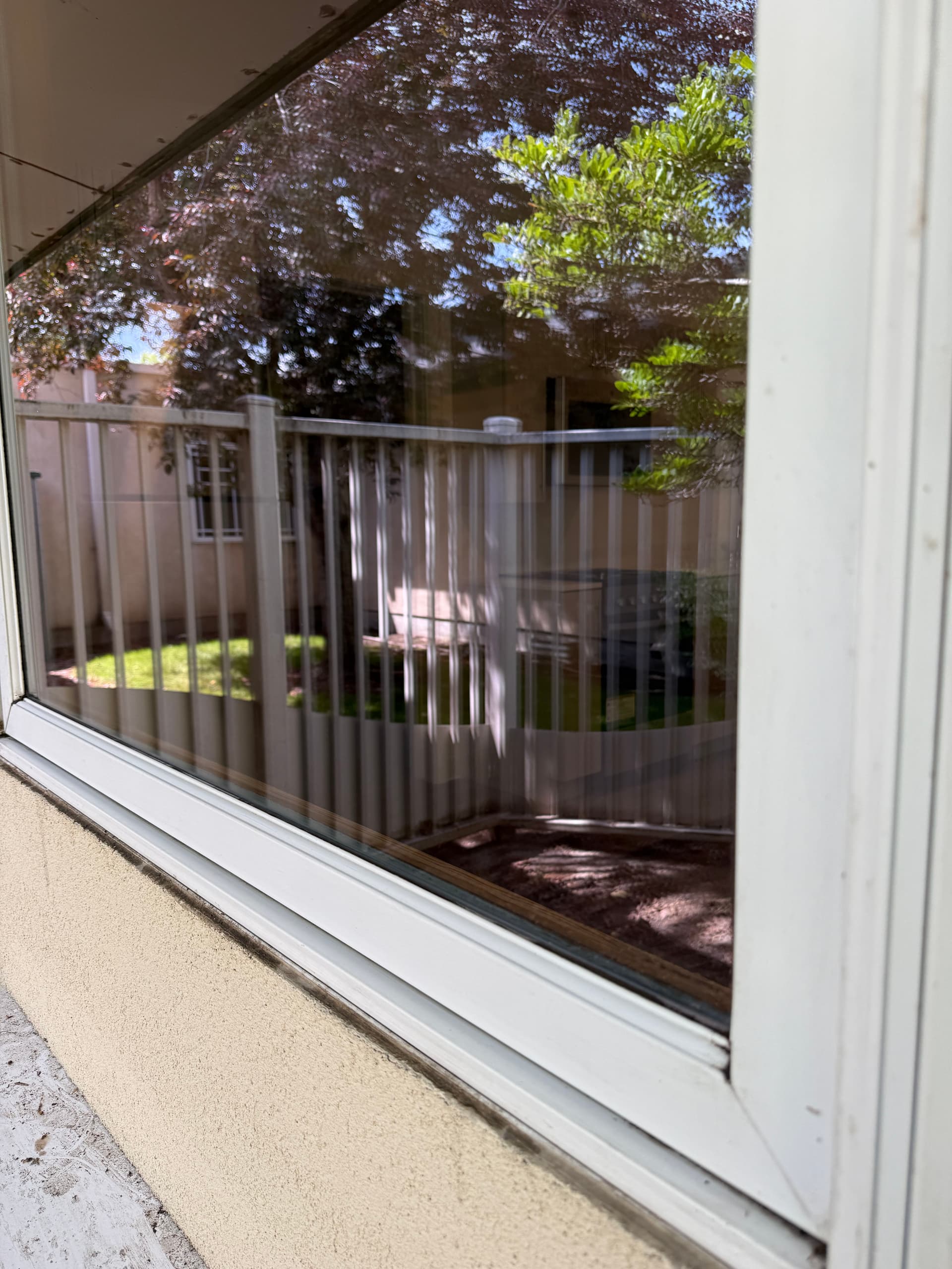 Streak-Free Window Cleaning That Makes a Real Difference image